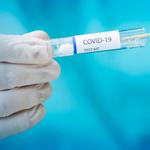 Free Covid Testing Site