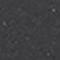 Seed Grey