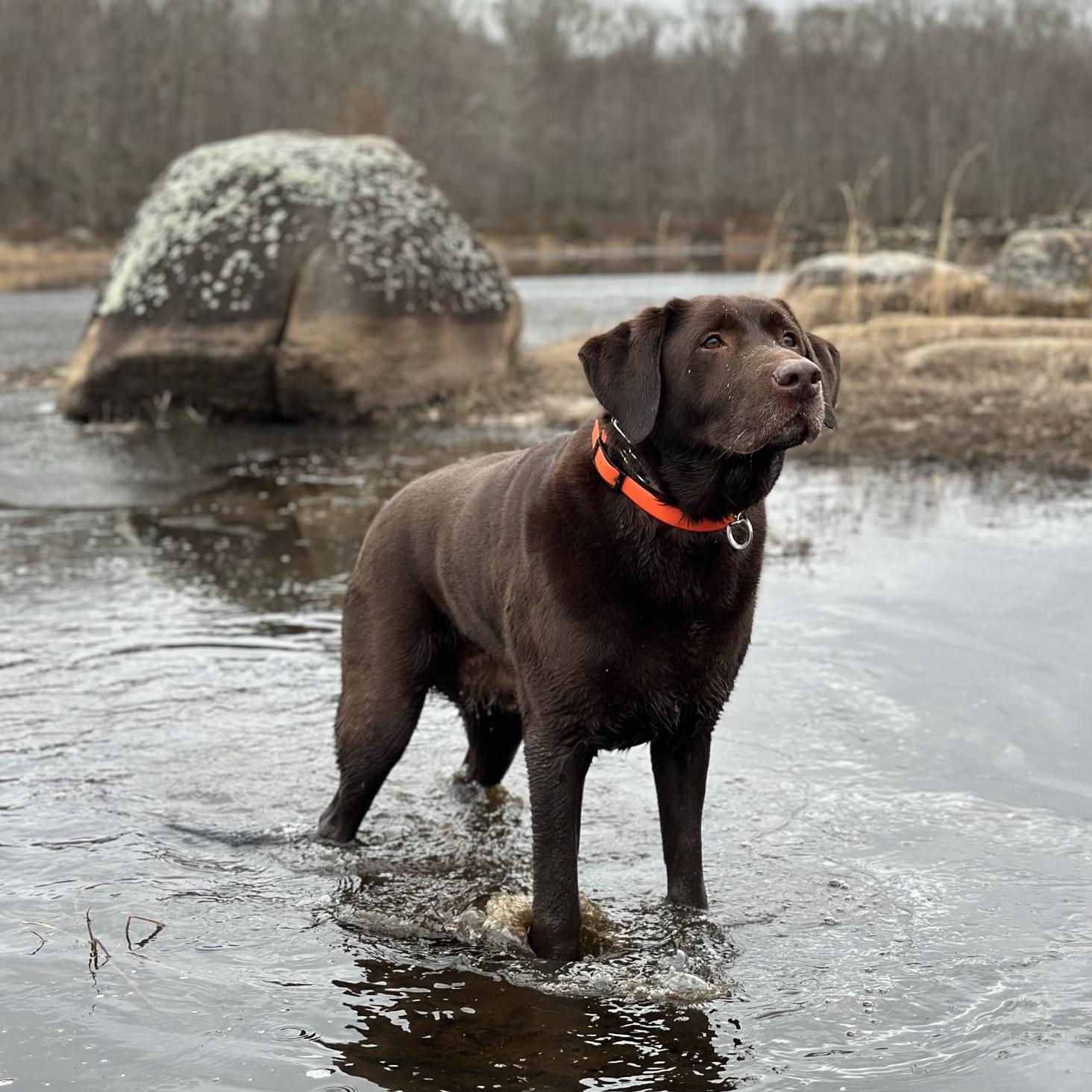 Virgil’s Cancer Treatment