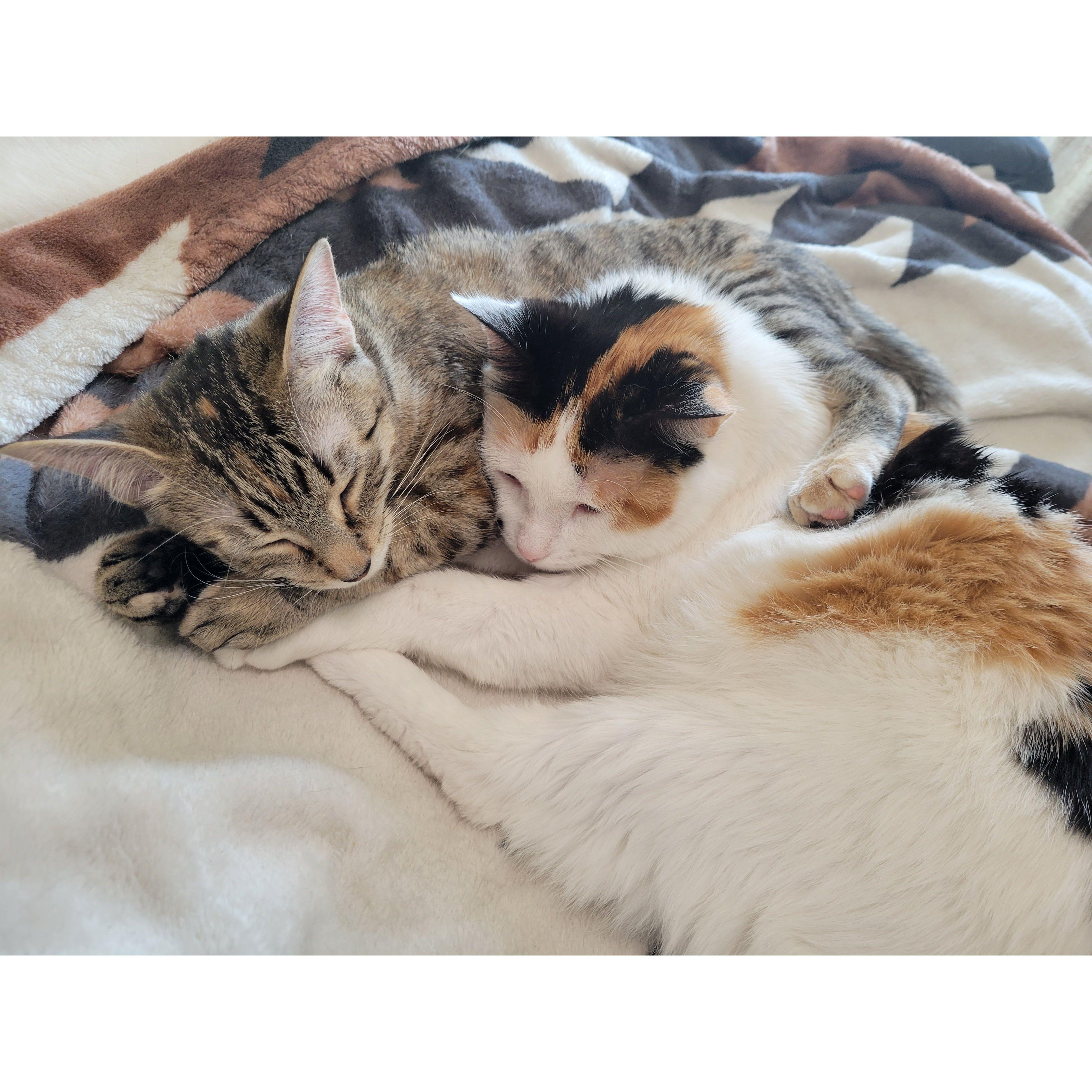Furry babies!