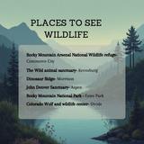 Places to See Wildlife