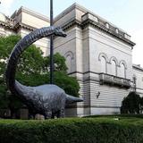Carnegie Museum of Natural History