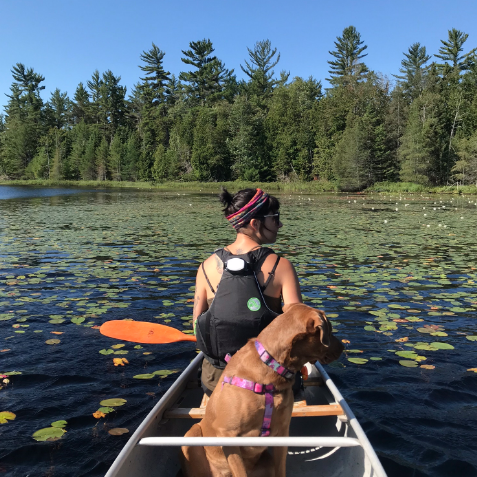 Hiawatha National Forest, MI