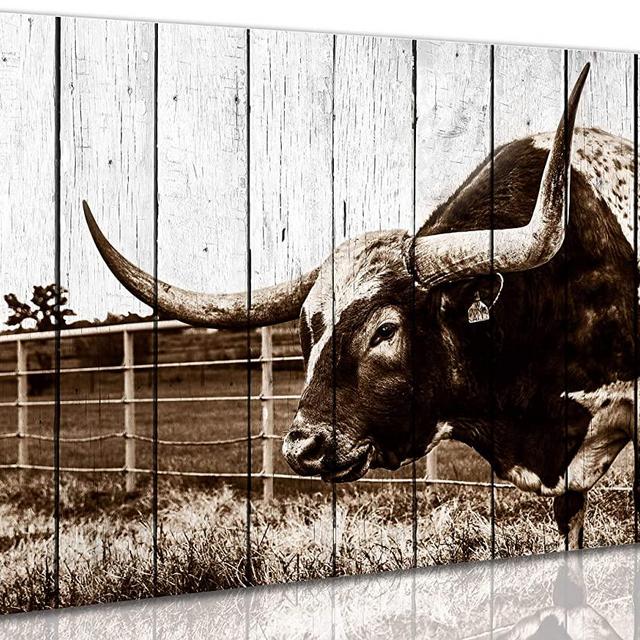 aburaeart Rustic Wall-Art - Wall Decorations for Bedroom Farmhouse Wall Art - Texas Longhorns Western Decor - Framed Ready to Hang for Kitchen Size 12x16