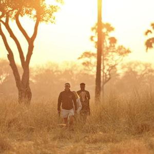 Walking Safari in Nyerere