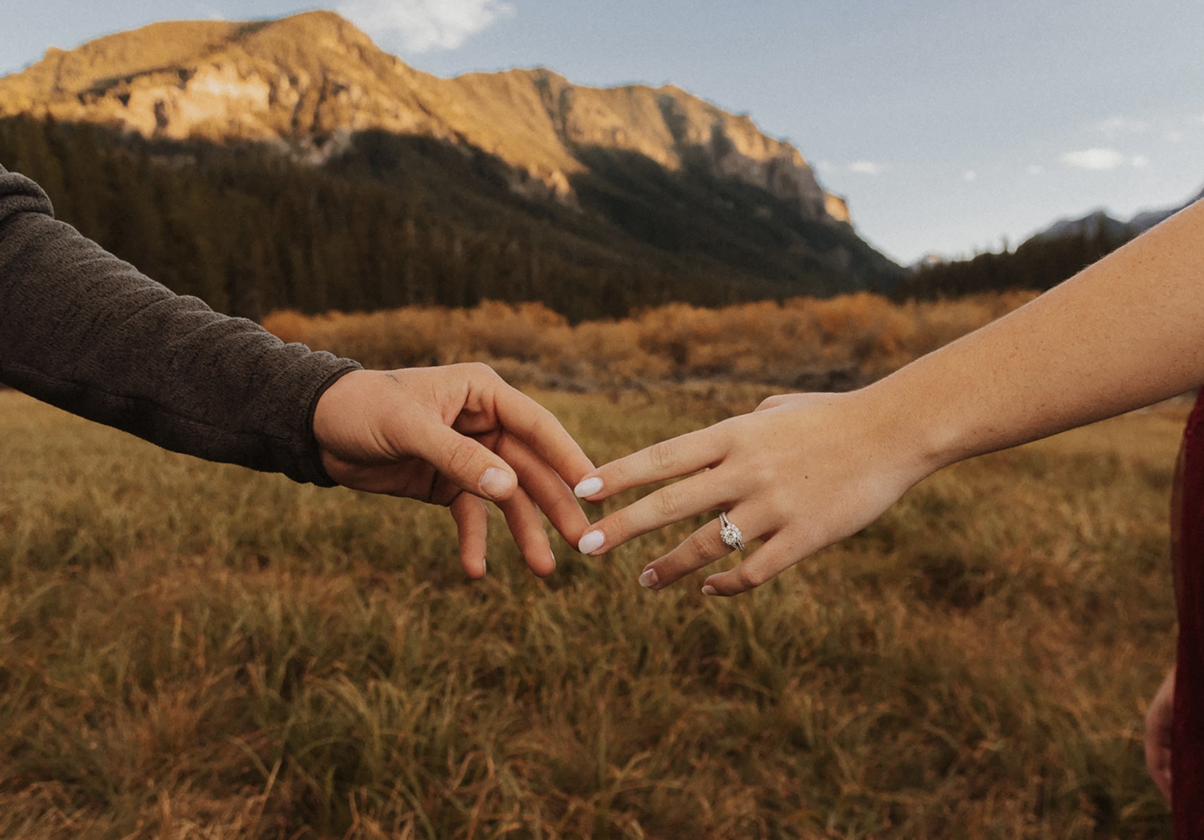 The Wedding Website of Shy-Anne Brewington and Austin McArthur