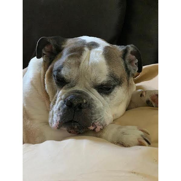 Diesel Baby, rest easy.