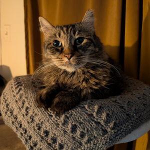 Marlo Says Thank You!