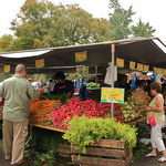 McCarren Park Greenmarket