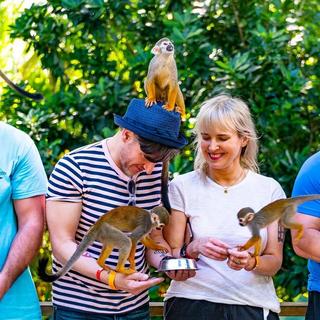 Zipline Adventures & Monkeyland for 2 - Dominican Republic
