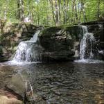 Windham-Blackhead Range Wilderness