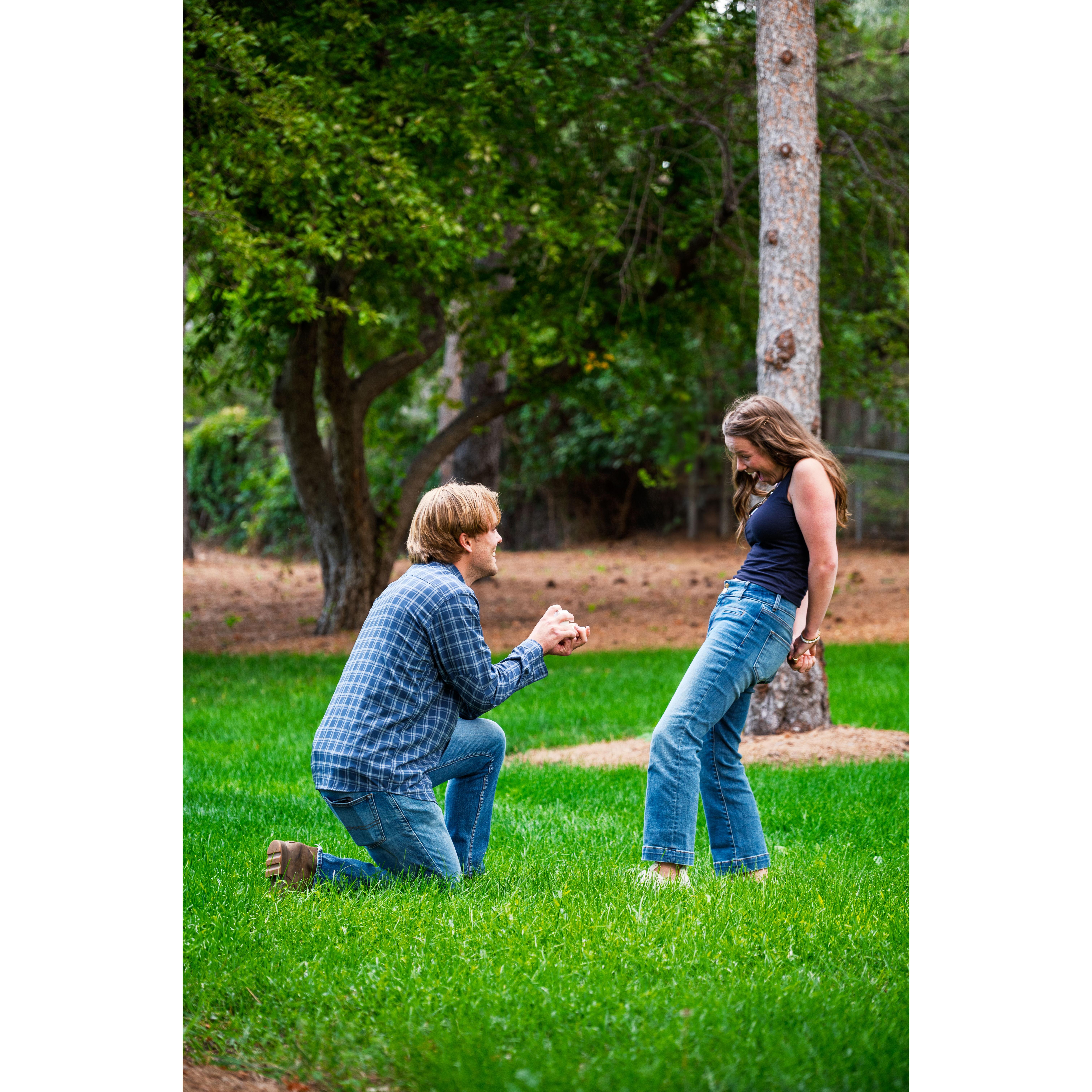 Nik's proposal at the park where we a year earlier became an official couple