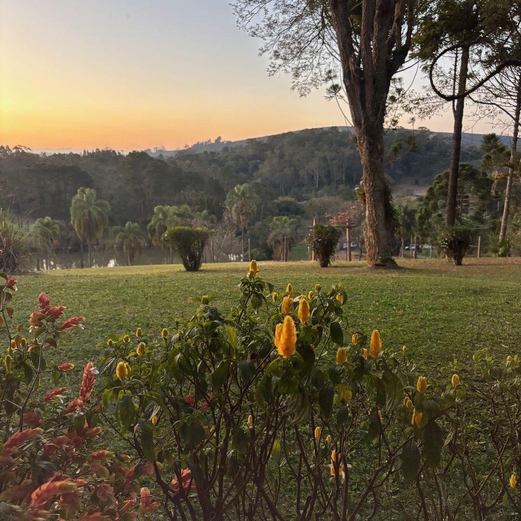 The Ranch