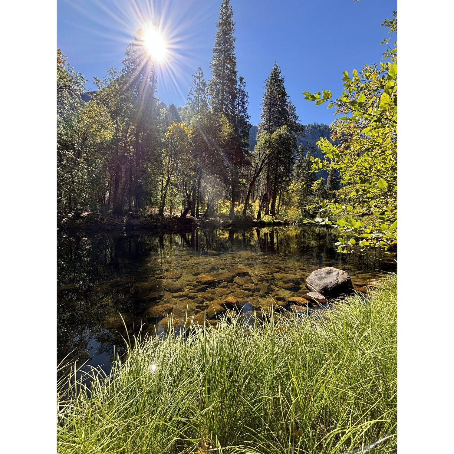 Leidig Meadow