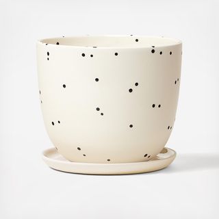 Dot Planter with Saucer