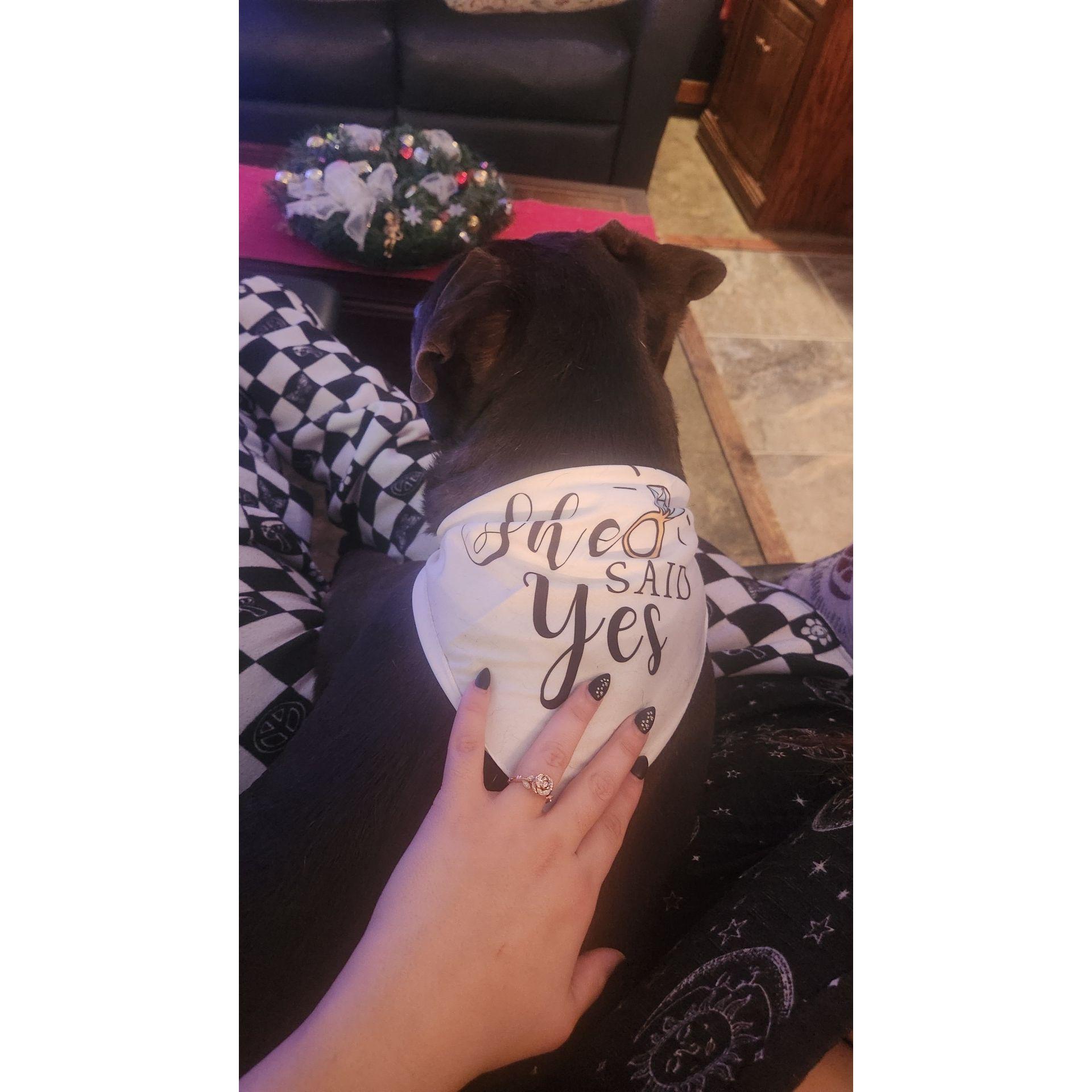 She Said Yes!