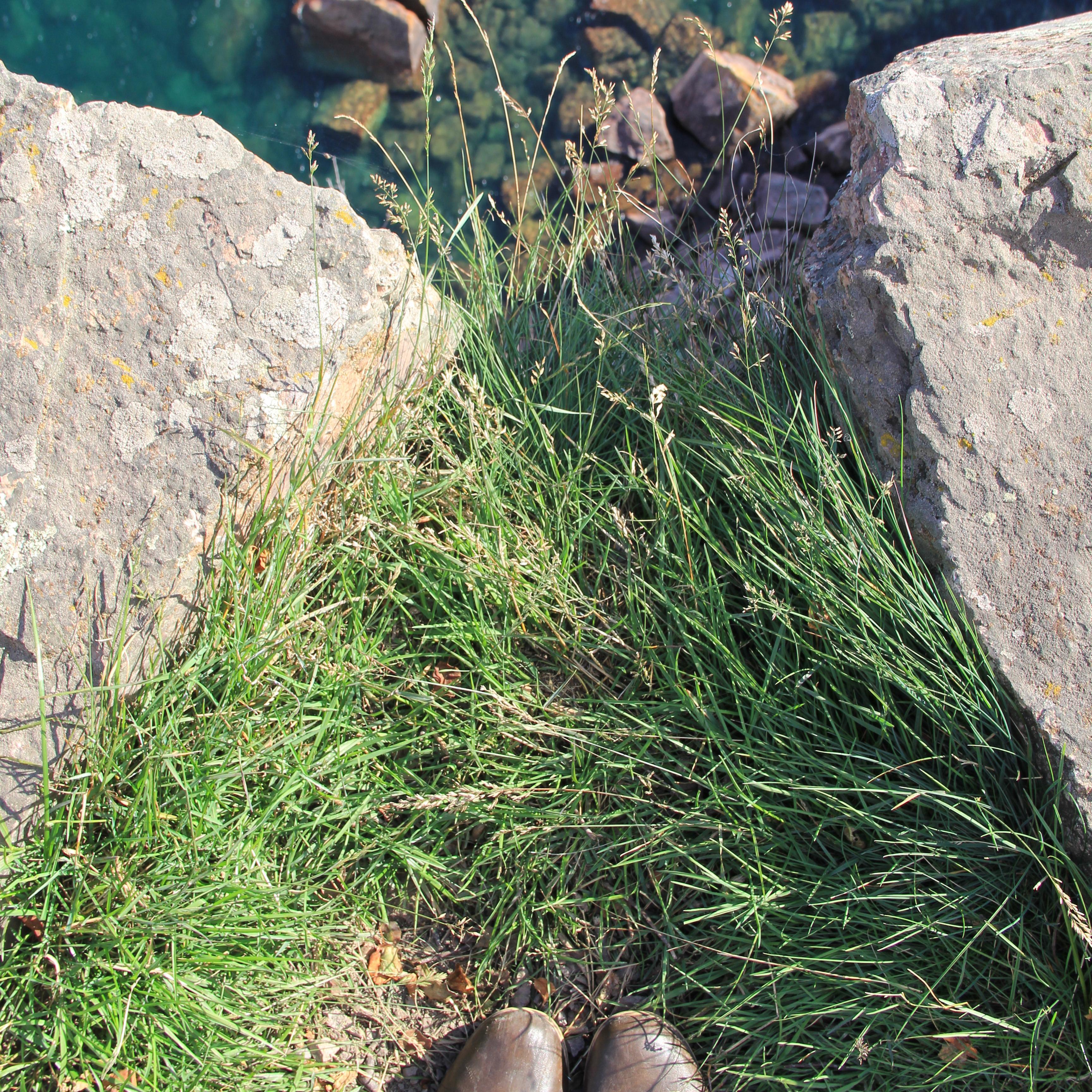 Dipping our toes in Duluth.
-Circa 2014