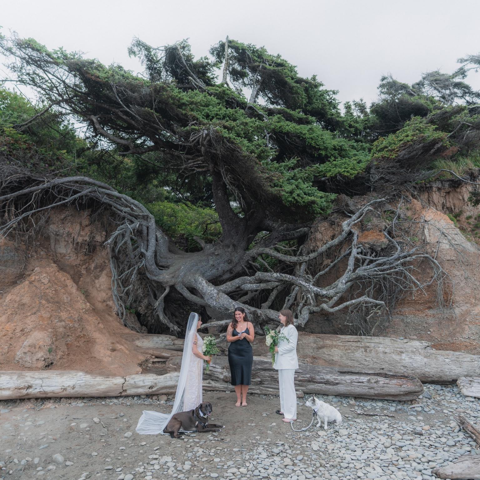 Hero Slideshow Image 2