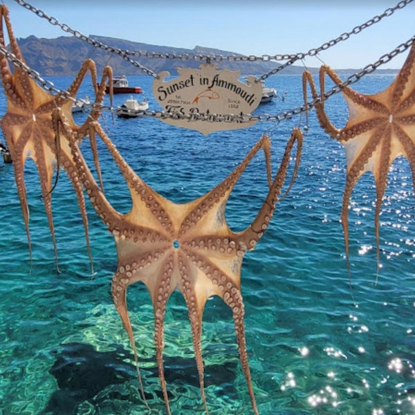 Greece Honeymoon Spending Fund