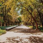 Bosque de Chapultepec