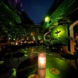 El Colibrí Cocktail Bar