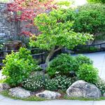 The North Carolina Arboretum