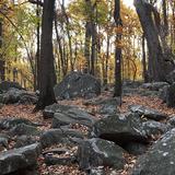 Sourland Mountain Preserve