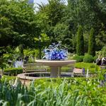 Atlanta Botanical Garden