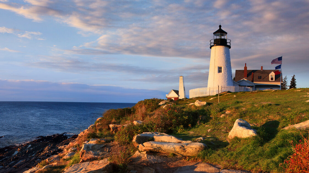 The Wedding Website of Jade Willey and Will Gantt