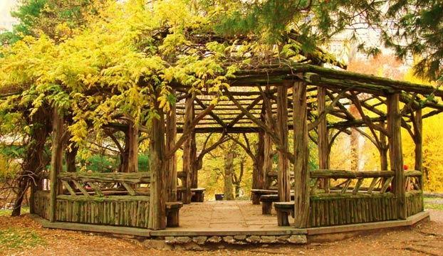 The Wedding Website of Sarah Lee Allen and Jonathan Matthew Elfreich