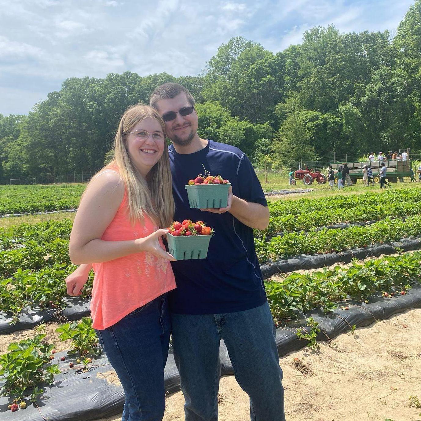 Strawberry Picking