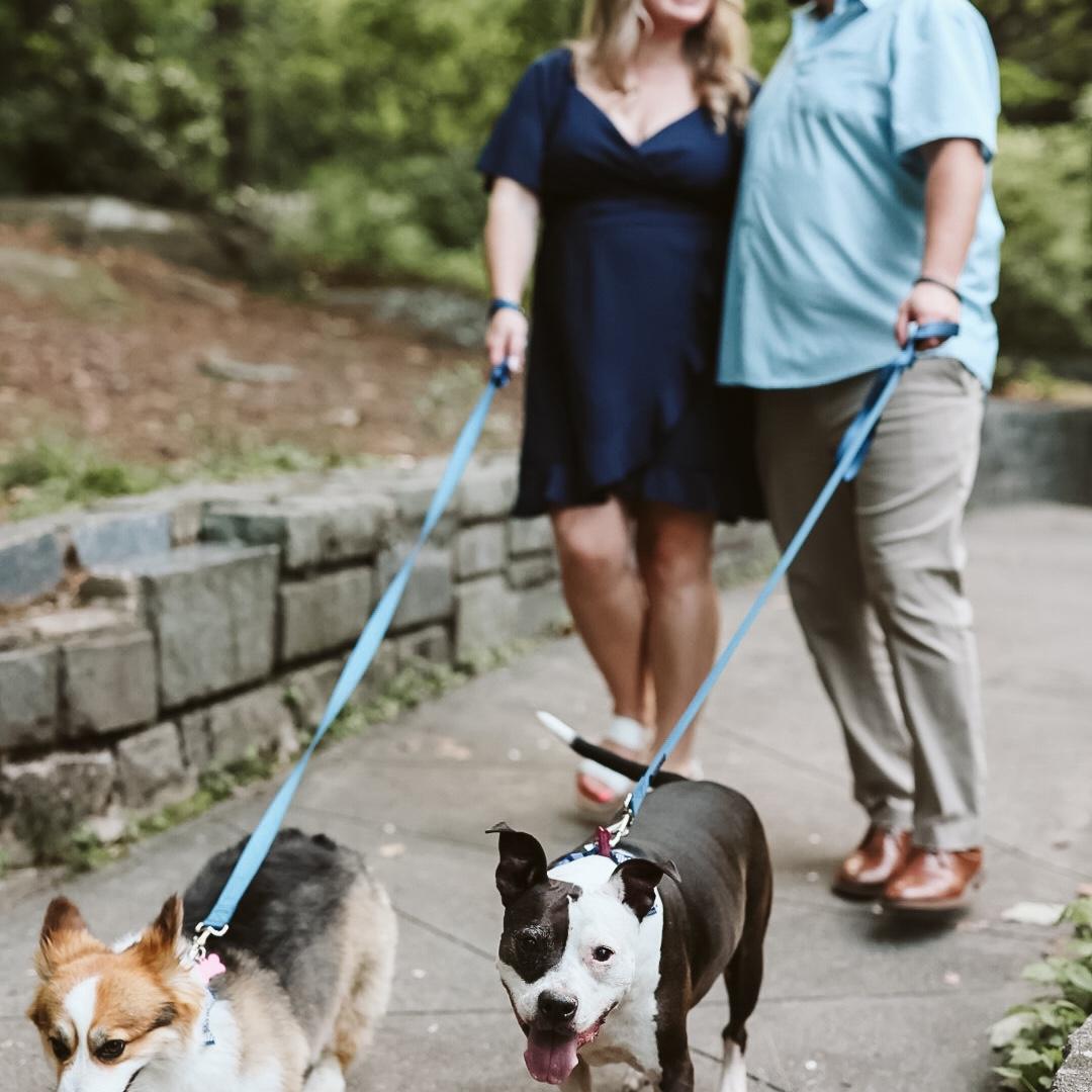 Engagement pics with our fur babies Paisley and Memphis. We wish we could wrangle our kitty Piper up for photos!