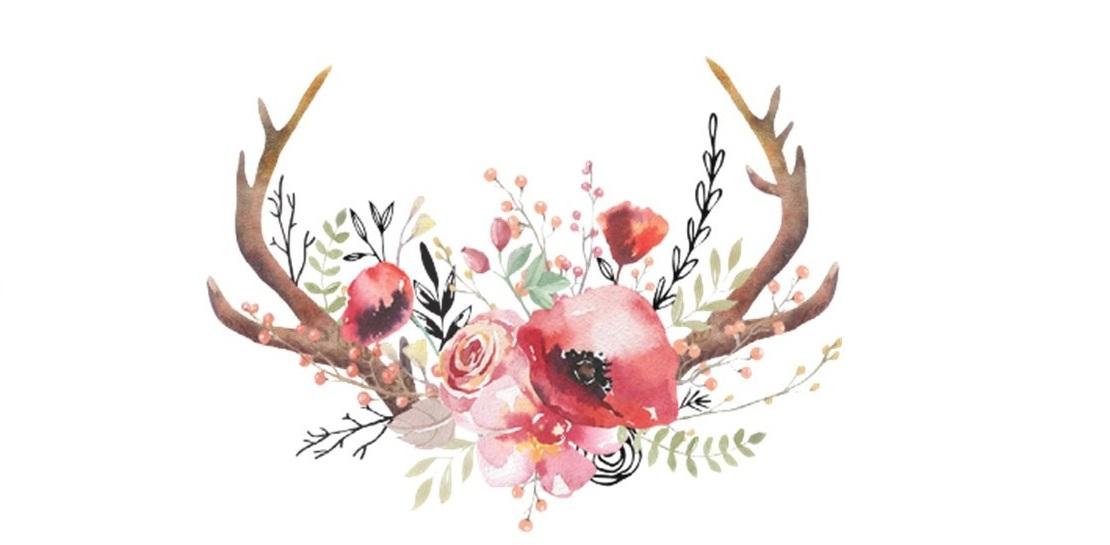 The Wedding Website of Jeannine Martell-Morris and Christopher Morris