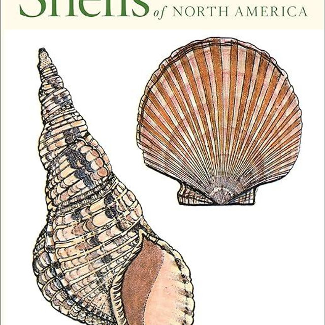Peterson First Guide To Shells Of North America