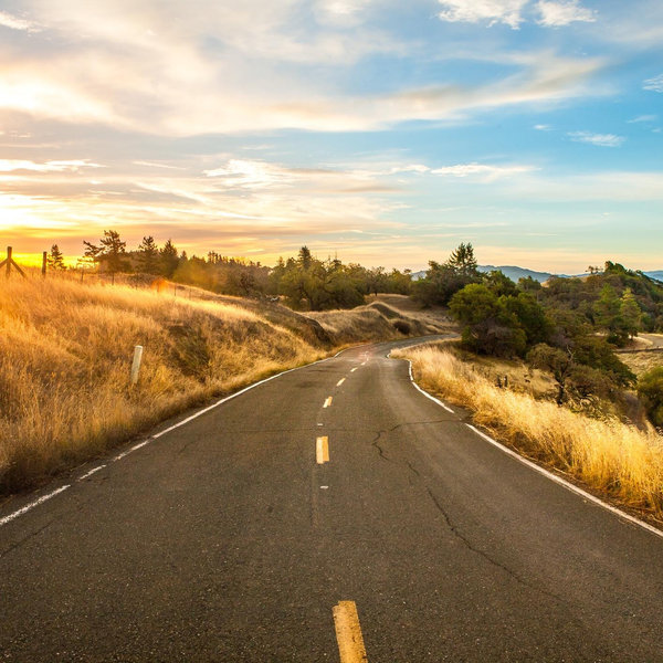 Honeymoon Roadtrip