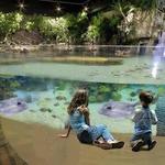 Butterfly House & Aquarium
