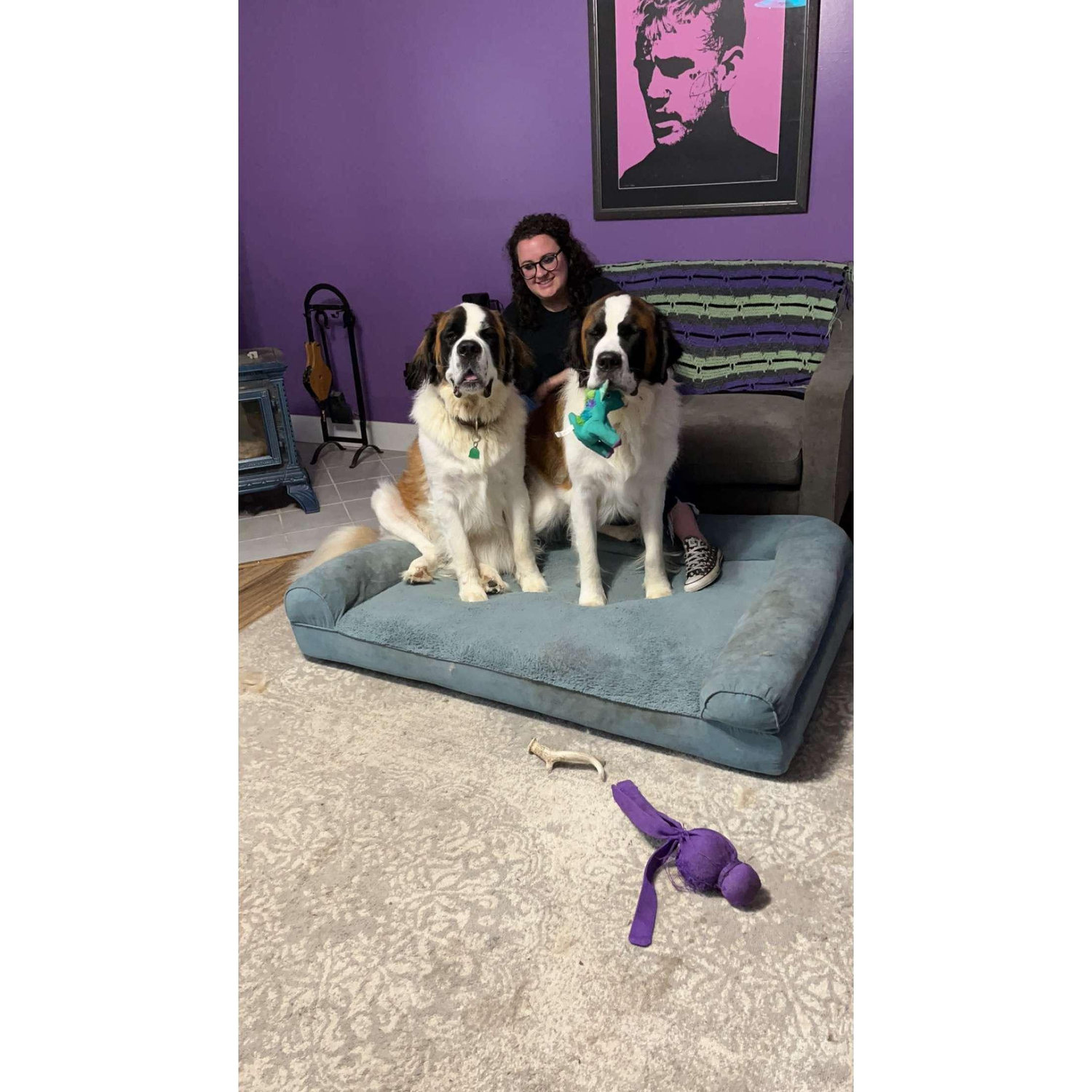David's Gorls