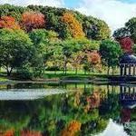 Larz Anderson Park