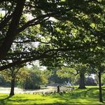 Schiller Park