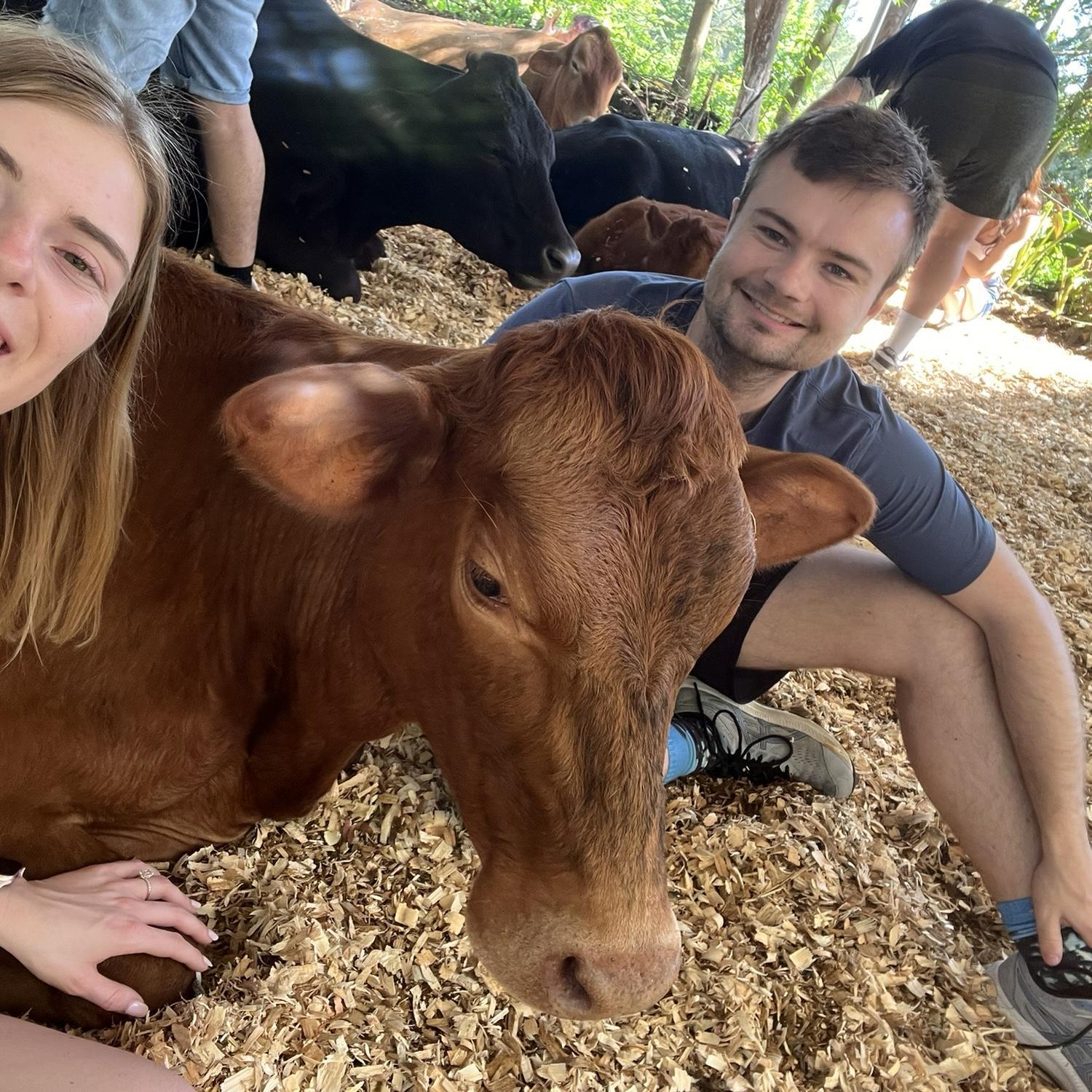 Zach surprised Kayla by bringing her to see the cow sanctuary in Hawaii!