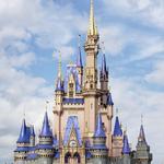 Walt Disney World® Resort