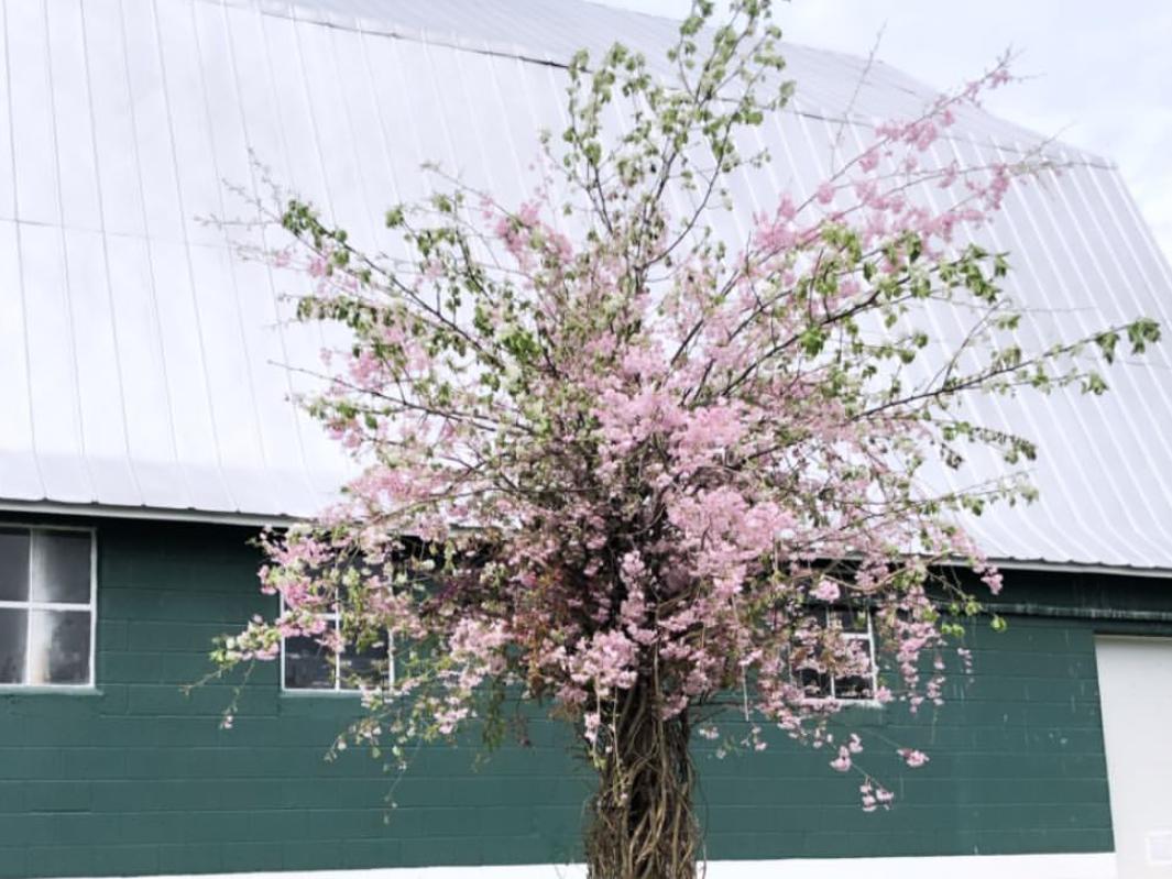 The Wedding Website of Kellie Momon and Sean Laster