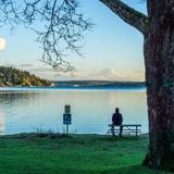 Seward Park