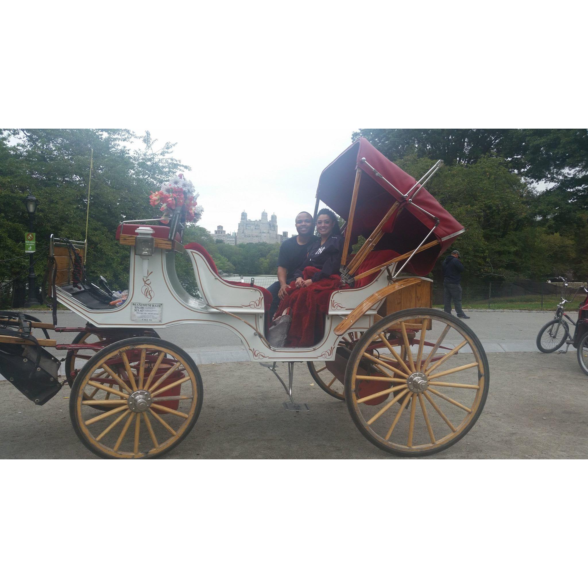NYC carriage ride