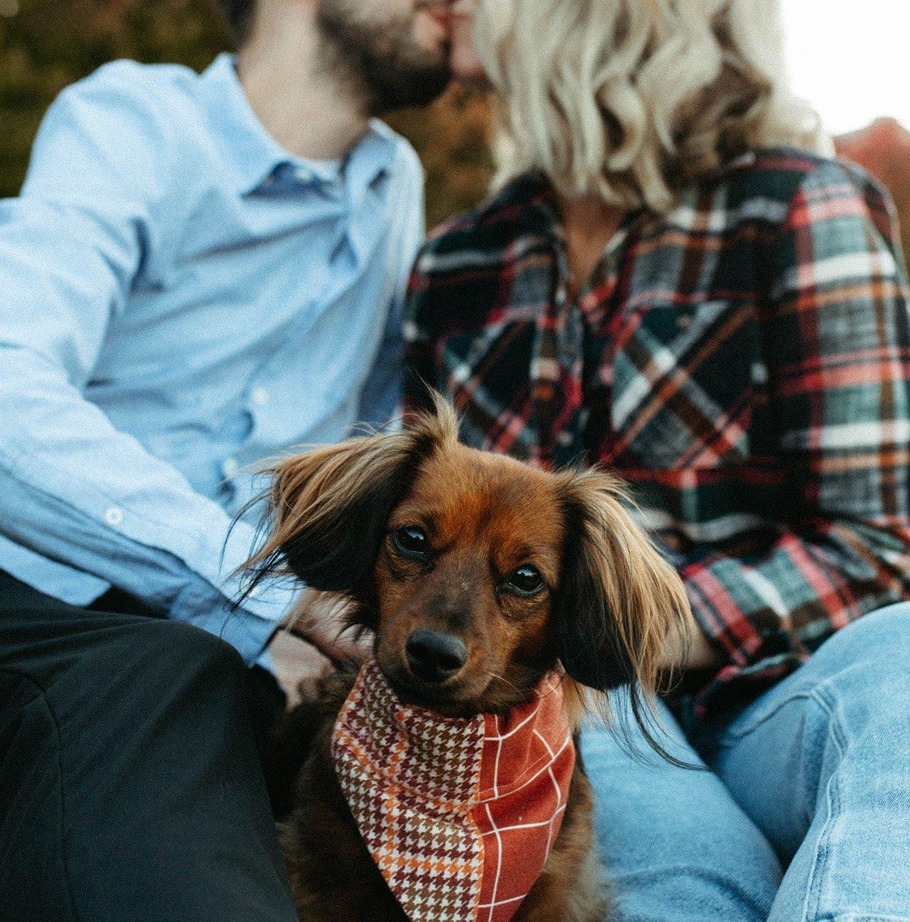 The Wedding Website of Will Morton and Casey Phillips