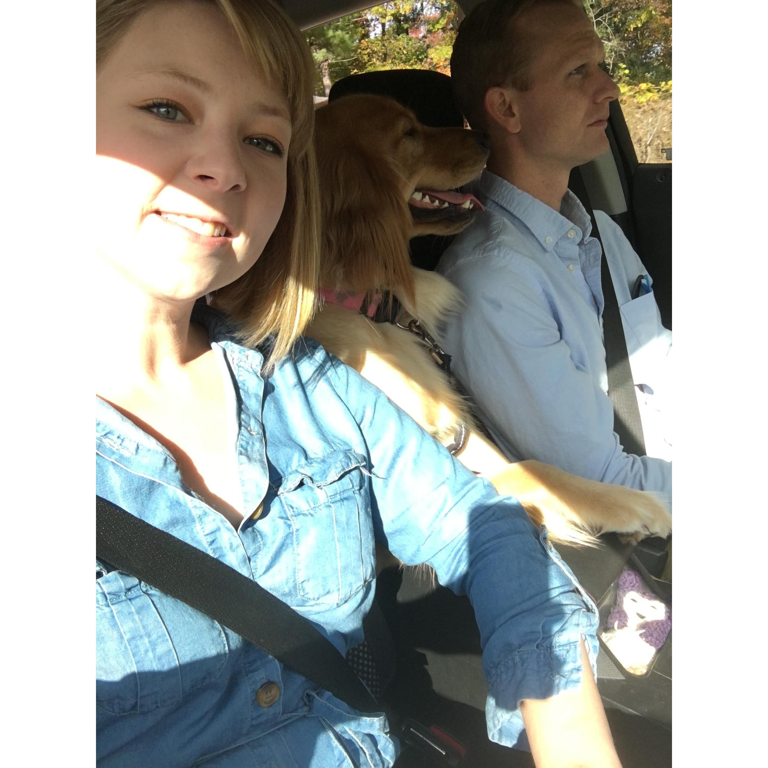 On our way to take pictures!