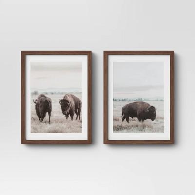 (Set of 2)12" x 16" Buffalo Framed Prints - Threshold™