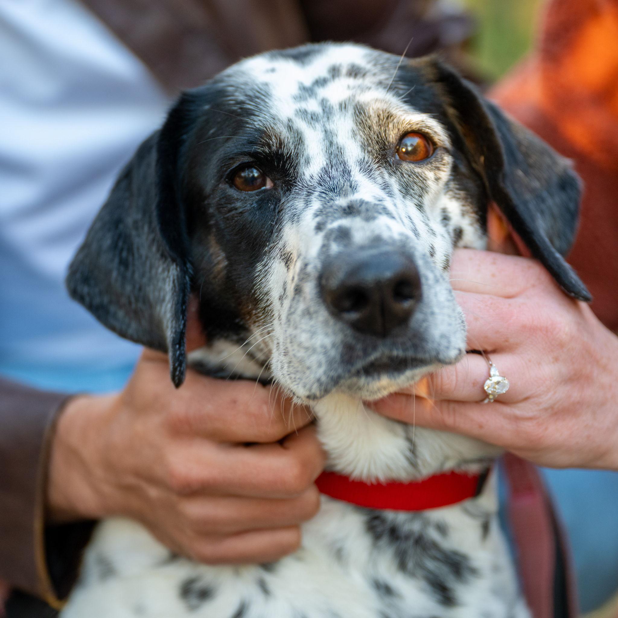 Hero Slideshow Image 2