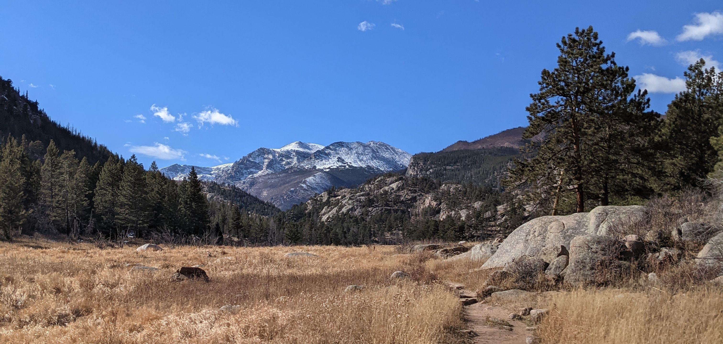 8e8018c1-0575-43af-a60c-20ed16be387d