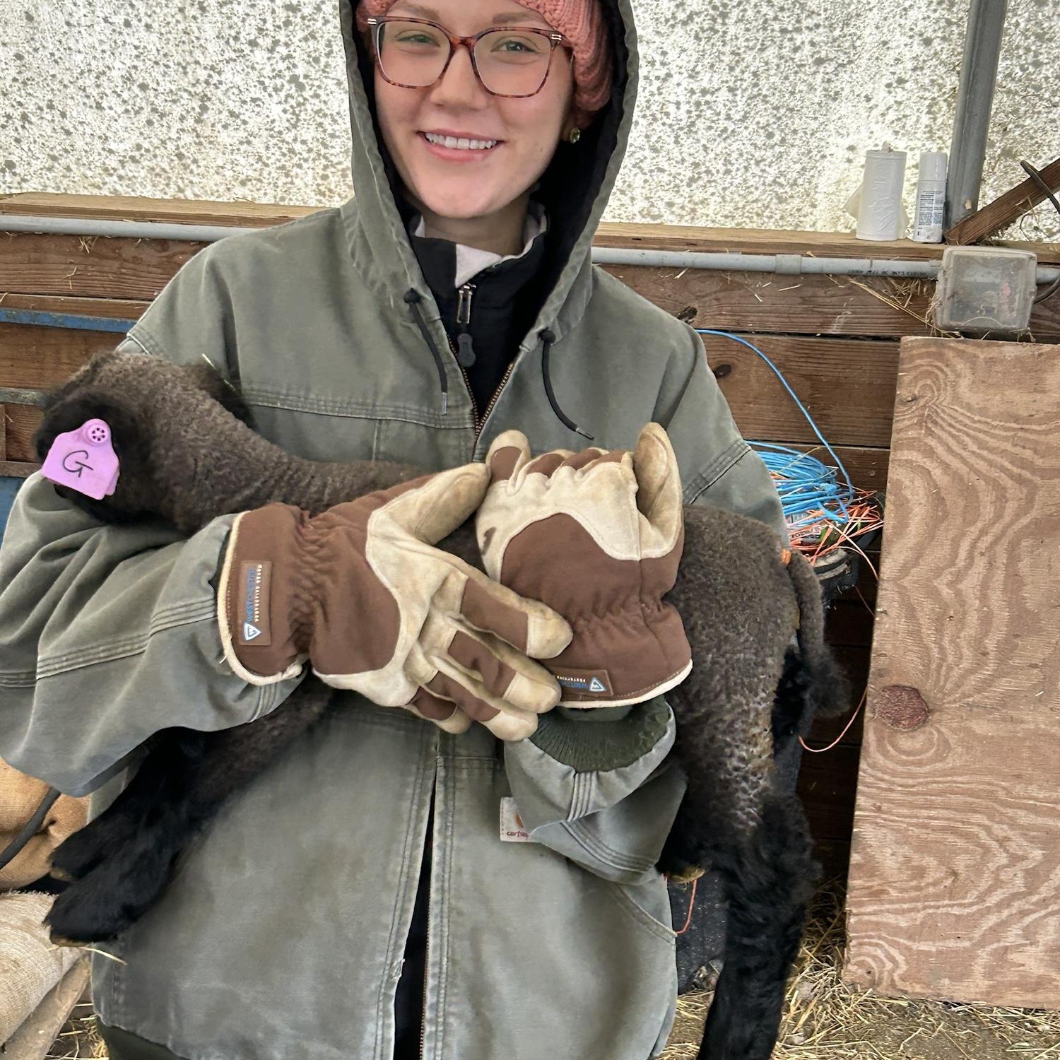 Anna’s first time meeting the sheep. And getting to hold a little lamb. 🥹 🐑
